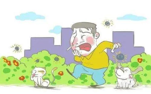 1617359047393801.jpg 5.jpg